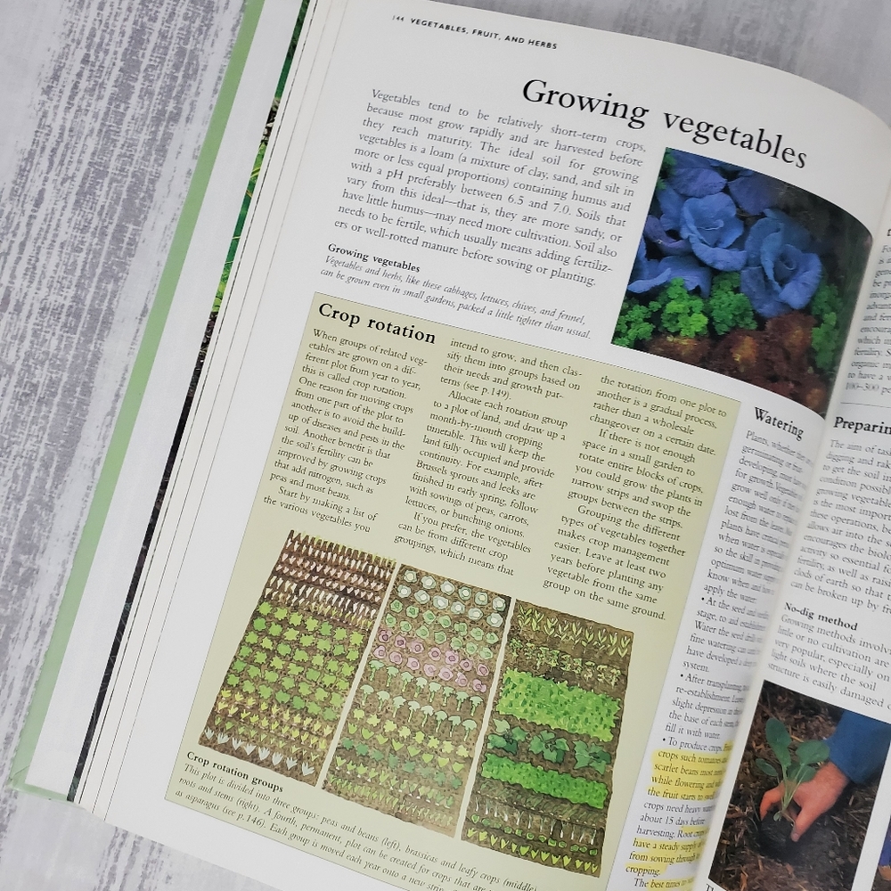 Gardening Basics: How to design ... - Picture 7 of 11